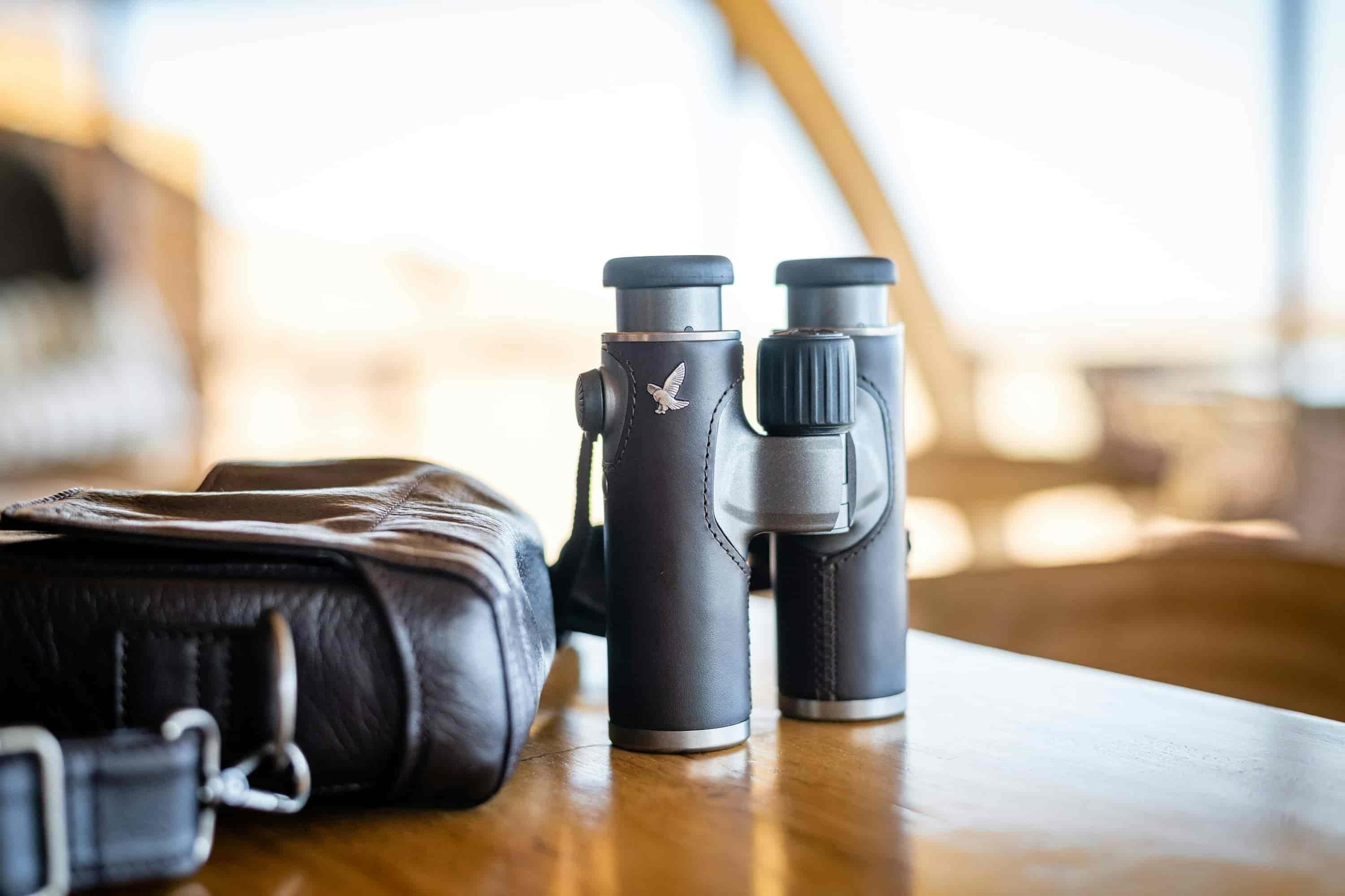 IBVAPE Insights on Lung Damage from E-Cigarettes and IBVAPE Safety Concerns Explored